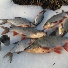 На кивок - 2