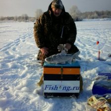 А как такие рыбки?