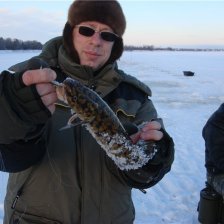 Вдогонку к предыдущей