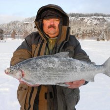 Трофеи Сторумана