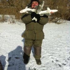 зачётный клыкастый