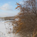 Рыбалка в Храпуново