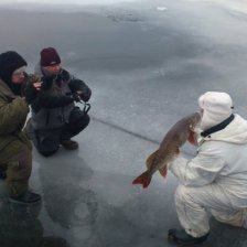 Фотосессия :)