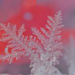 С профессором в  «штанах»