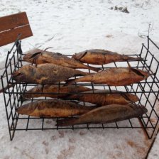 Дорада с сибасом