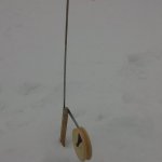 Продолжаем разговор