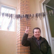 Шатурская лаврушка