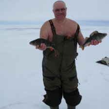 Легендарный морж из Костромы