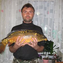 Карп зеркальный
