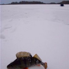 Весьегонск