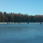 Пестовское