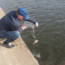 Выпускание рыбов на волю