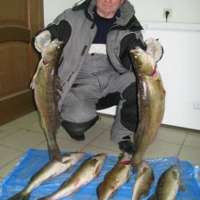 В левой 4 кг