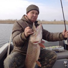 Сегодня Ахмет сгонял на разведочку