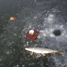 Щучка