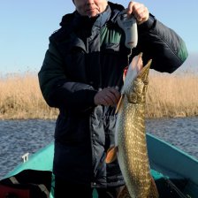 Вчера ребята с Главного банка прислали