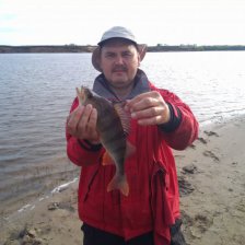 Окунь вполне рыбинского размера