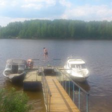 Ни комарика