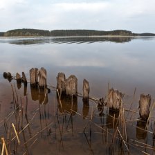 Селигерщина