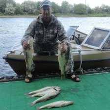 за 40 минут поймали 6 судаков