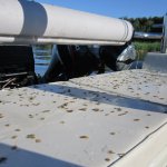 Открытие летнего сезона 2014 г., Рыбинское водохранилище, с. Прозорово