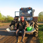 Золотые слитки торфяников