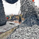 27 июня - Всемирный день рыболовства