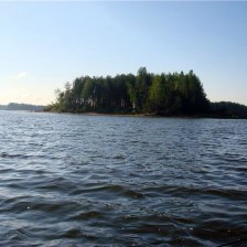 Красивая река Молога