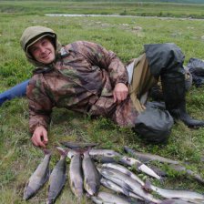 Свежие фотографии с Полярного Урала (9-16 июля 2014)
