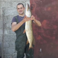 2014