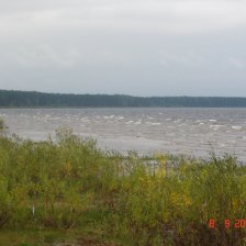 рыбинка