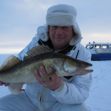 Золотистый  слиток