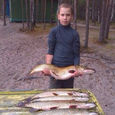 Щука-4кг