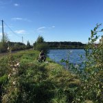 Месть карасям