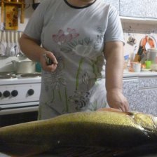 Судак!