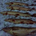 О твердой воде все мечты?