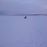 Вчера впервые был на Углическом водохранилище