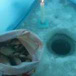 вечером вернулся с Яузы