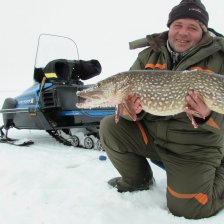 Брейтовская красавица в суровых Кимровских руках