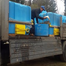 Зарыбление 27.04.16