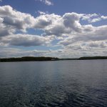 Вчера наконец та открыли спиннинговый сезон