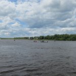 Выбрался на рыбалочку сегодня