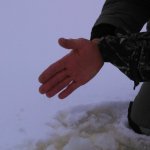Сезон открыт !