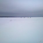 Шатура 25.11.2016