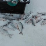 Как не спешили, но на берег Лами приехали в 10-ом часу.