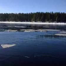Рыбинка