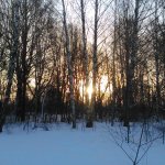 На Плещеево пока все как обычно