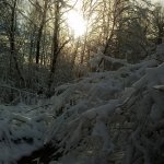 Закрывали сезон сёдня
