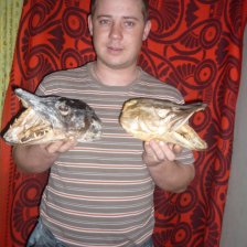 щучьи головы
