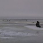 Два предновогодних дня в Борке